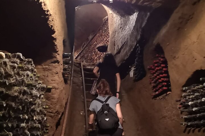 Unique EnoBike experience with tasting in 2 excellent wineries