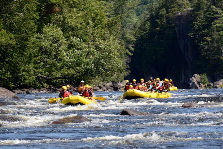 Family Rafting with kids | Rouge River (From age 6)