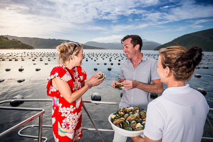 Marlborough Icons Tour - Wine tasting + Cruise
