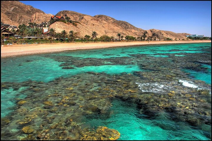 Glass Bottom Boat Cruise in Eilat