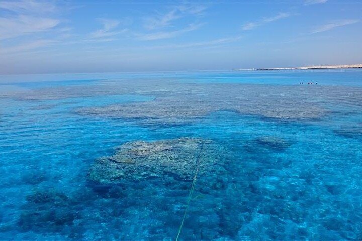 Glass Bottom Boat Cruise in Eilat