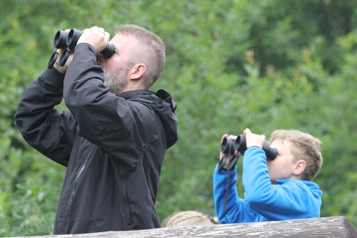 Bearwatching Hiking Day Tour in High Tatras from Poprad