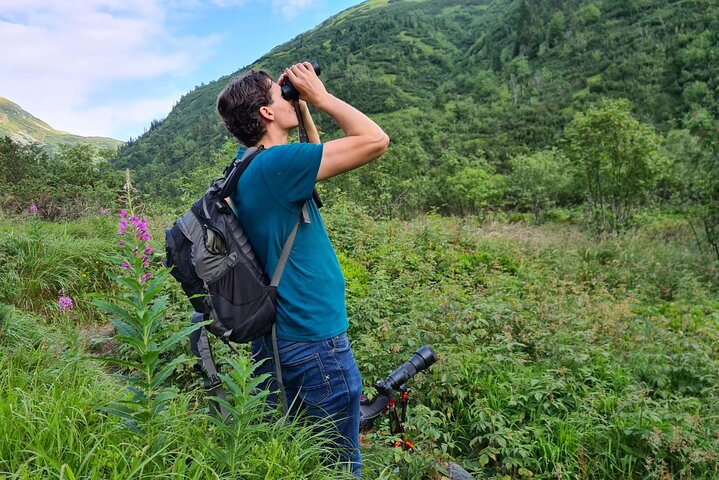 Bearwatching Hiking Day Tour in High Tatras from Poprad