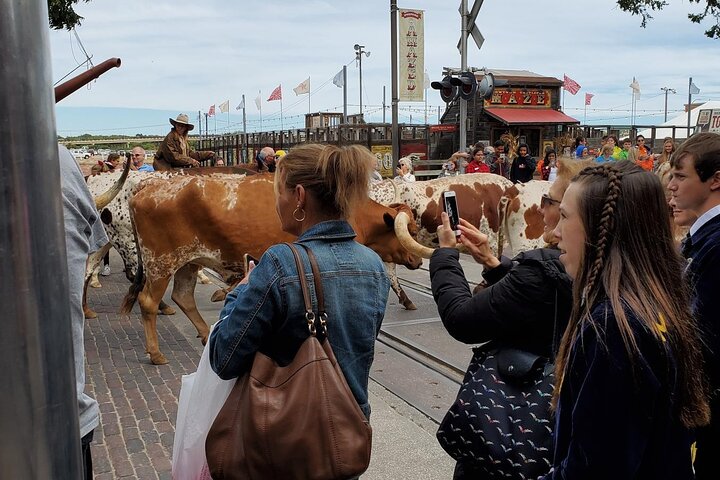 Best of Fort Worth from Dallas Or Fort Worth