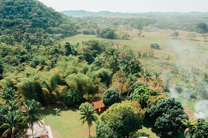 Rastafari Cultural ATV Community Experience from Negril