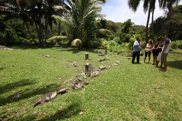 3-Hour Rarotonga Island Discovery Tour