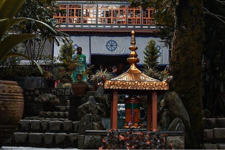 Guided, India's Own Mini Tibet Mcleodganj- Culture Tour