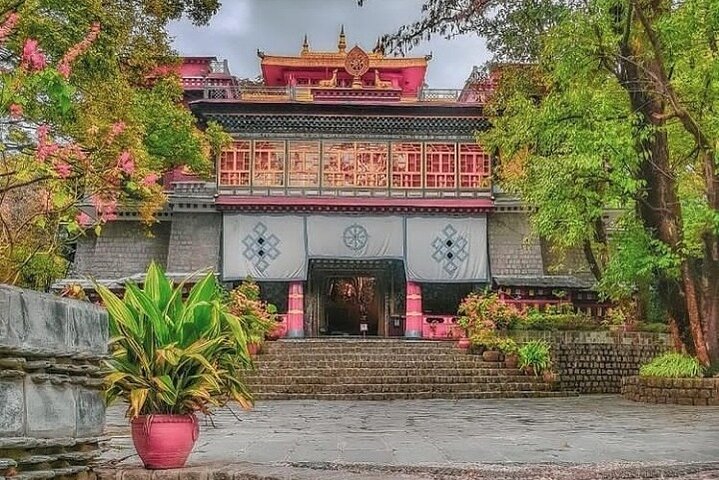 Guided, India's Own Mini Tibet Mcleodganj- Culture Tour