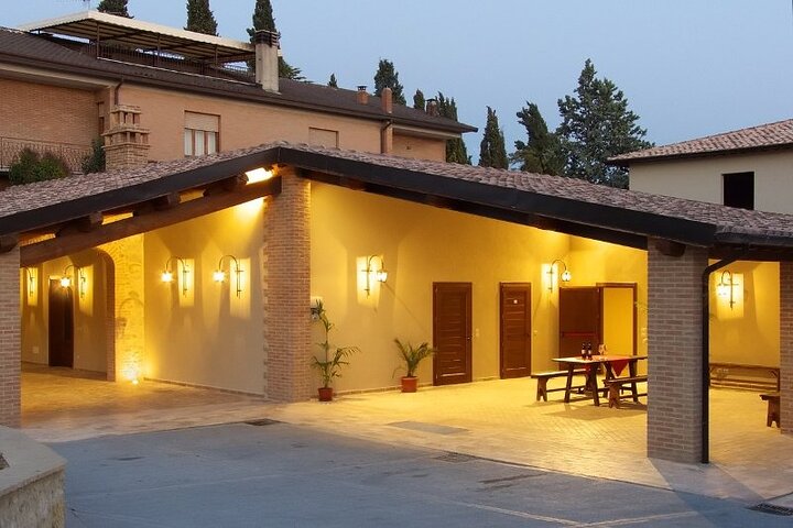 Montefalco: Winery and Oil Mill Tour in with Light Lunch