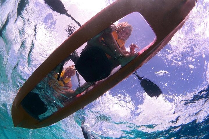 Clearbottom Mangrove Kayak & Snorkel tour