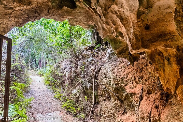 Cayman Crystal Caves Tour in Grand Cayman