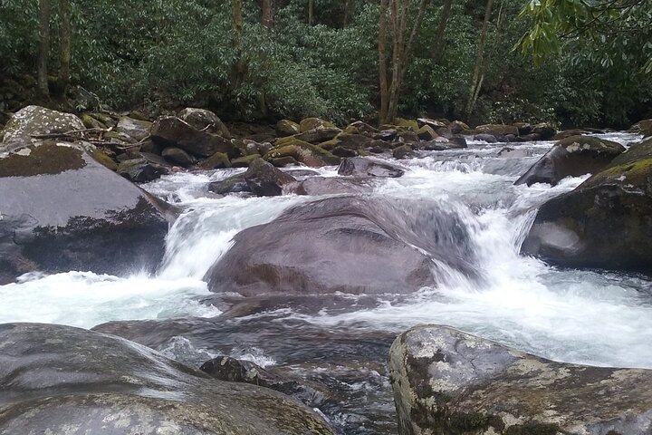 Blue Creek Cascades: Waterfalls, Whitewater & Wild Forest