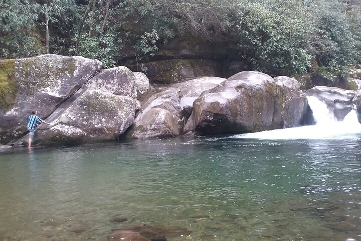 Blue Creek Cascades: Waterfalls, Whitewater & Wild Forest