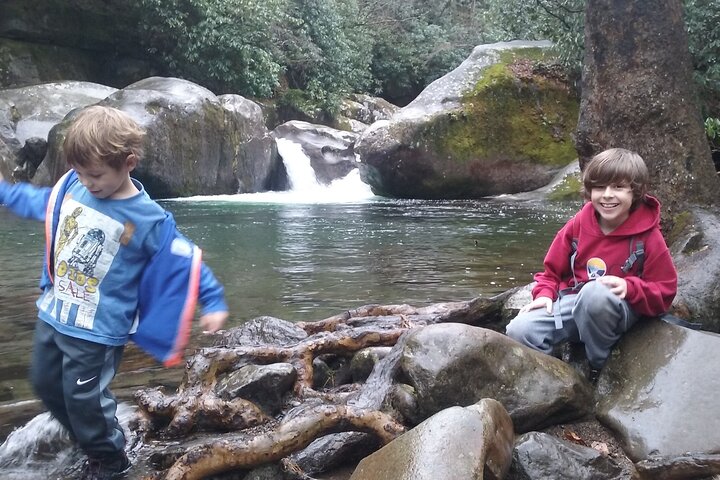 Blue Creek Cascades: Waterfalls, Whitewater & Wild Forest