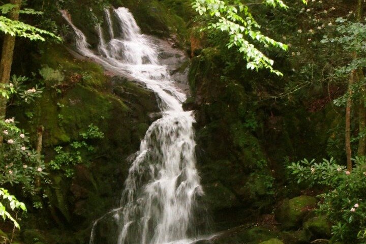 Blue Creek Cascades: Waterfalls, Whitewater & Wild Forest