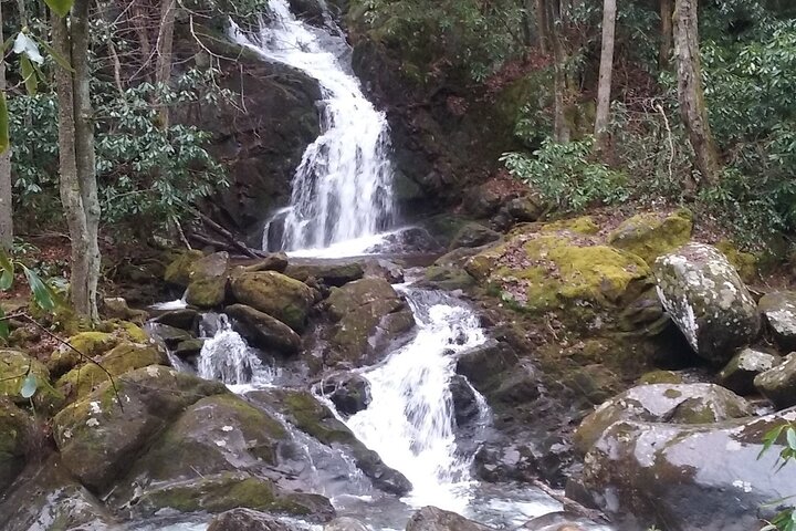 Blue Creek Cascades: Waterfalls, Whitewater & Wild Forest