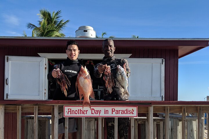 Paradise Cove Day Pass with Pickup from Freeport
