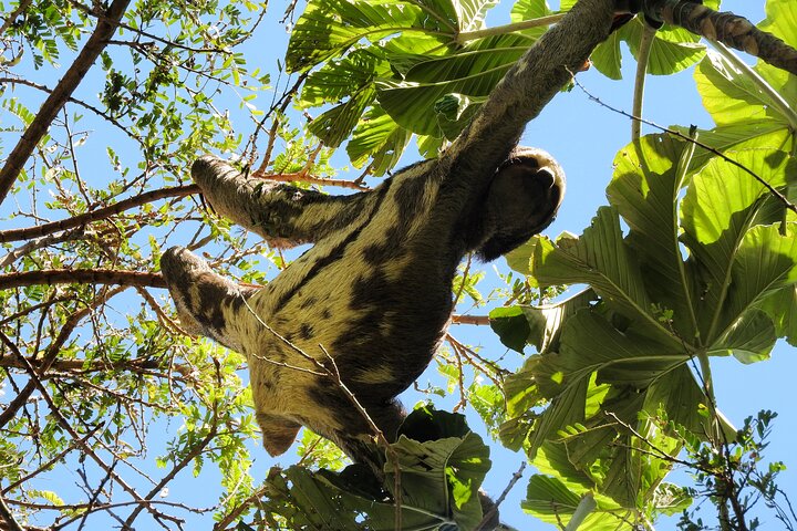 Amboro National Park Overnight Tour from Santa Cruz