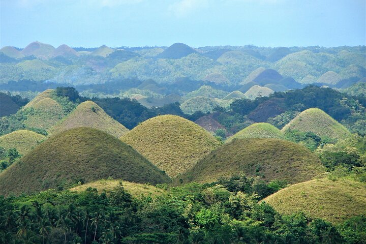 Private Bohol and Chocolate Hills with Loboc River Cruise