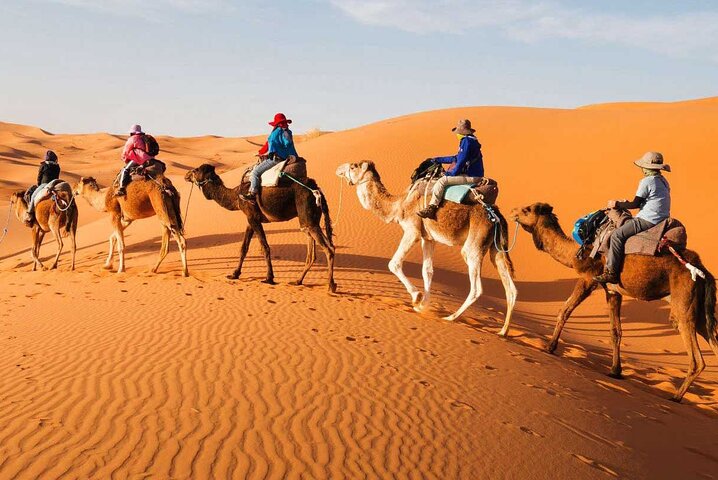 1 night Merzouga camel Trekking