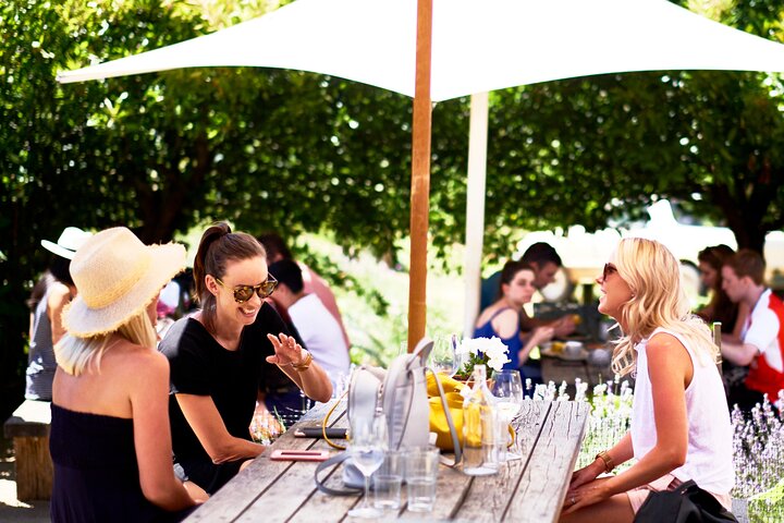 Montalto Vineyard: Mornington Peninsula Discovery Wine Tasting and Lunch