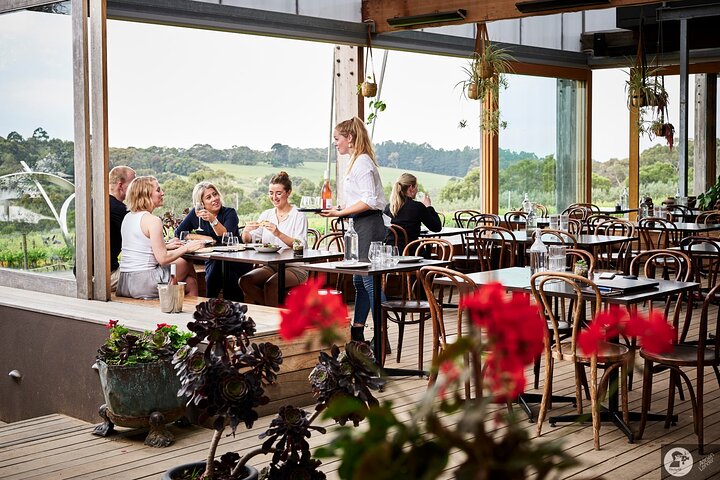 Montalto Vineyard: Mornington Peninsula Discovery Wine Tasting and Lunch