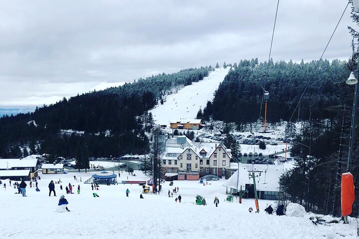 Black Forest Day Tour