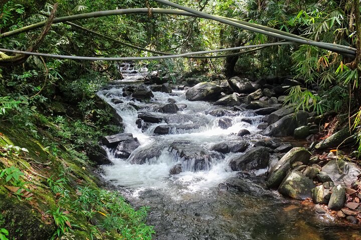 Sinharaja Rainforest Tour - Hotel Pick-up and Transfers Including