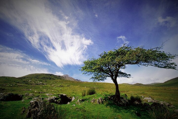 Haunted Bog road tour. Galway. Private guided. 3 hours