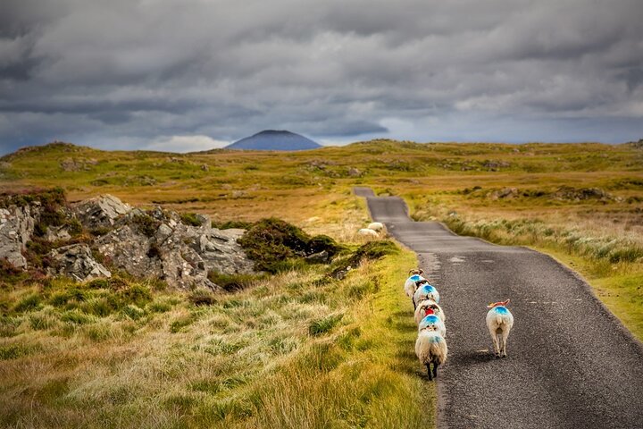 Haunted Bog road tour. Galway. Private guided. 3 hours