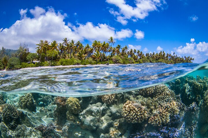 Full Day Lagoon Group Tour in Bora Bora with Lunch
