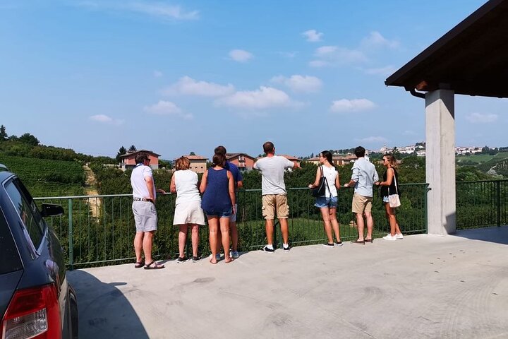 Barolo & Barbaresco Wine Experience with a Local Winemaker / Asti