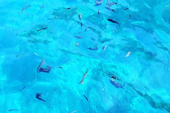 Discovering Lipari by boat (Private tour)