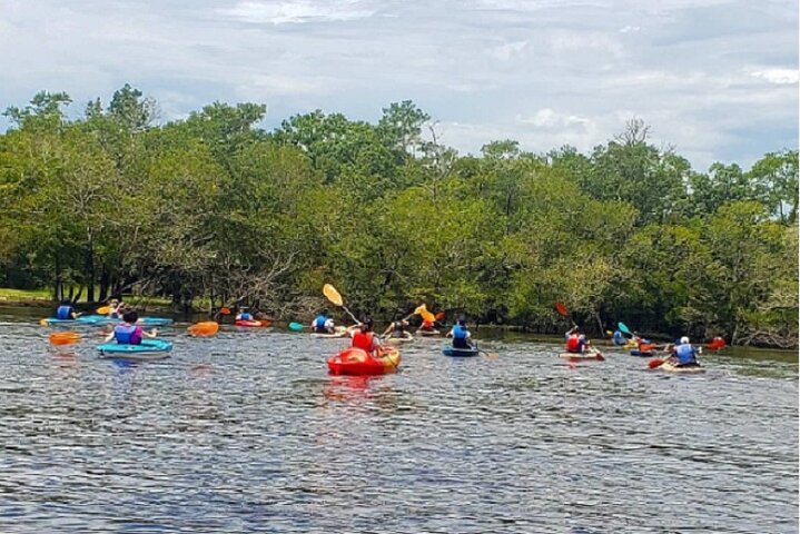 Kayak River Tour to a Private Island