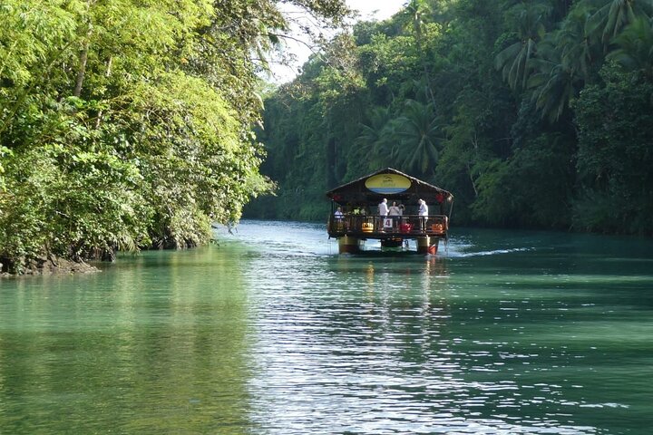Private Bohol and Chocolate Hills with Loboc River Cruise