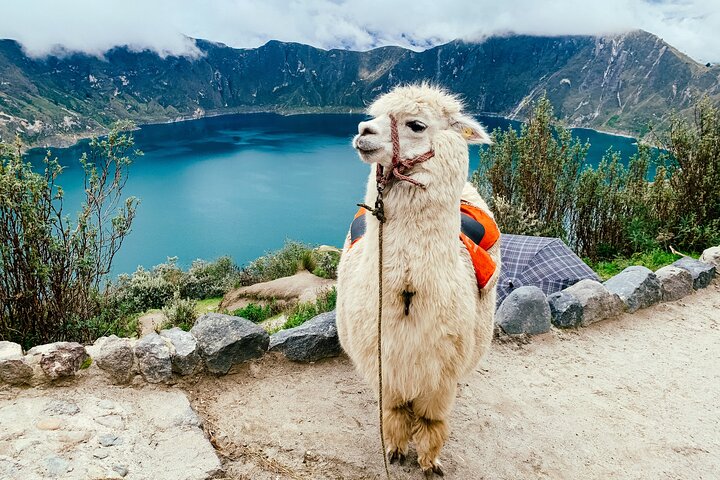 Quilotoa Lagoon Full-Day Tour from Quito with Entrance Fees daily