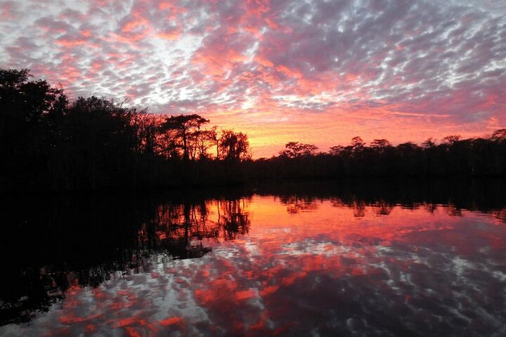 Waccamaw River Nature and Wildlife Tour