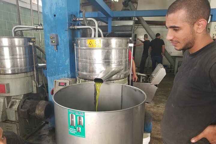 Culinary Day Tour of the Galilee