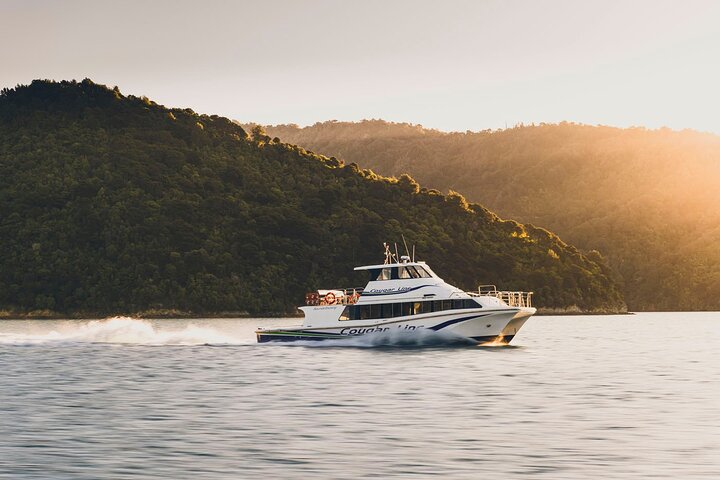 3.5 Hour Marlborough Sounds Delivery Cruise