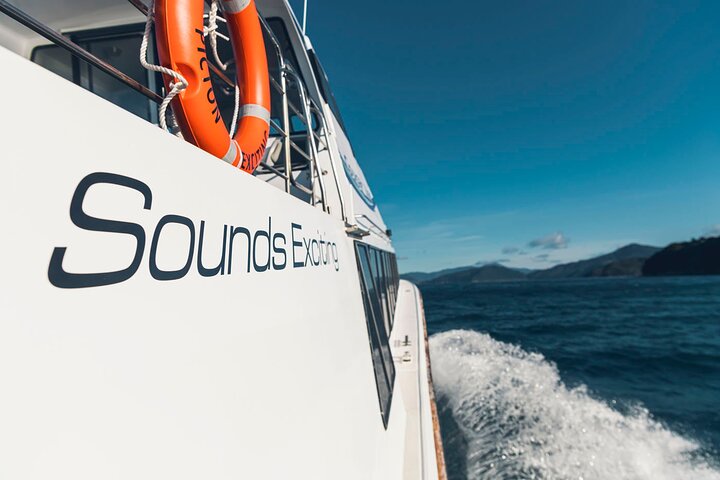 3.5 Hour Marlborough Sounds Delivery Cruise