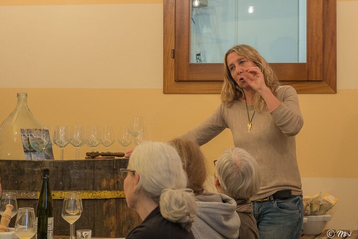 Sensorial wine tasting in Manarola, Cinque terre
