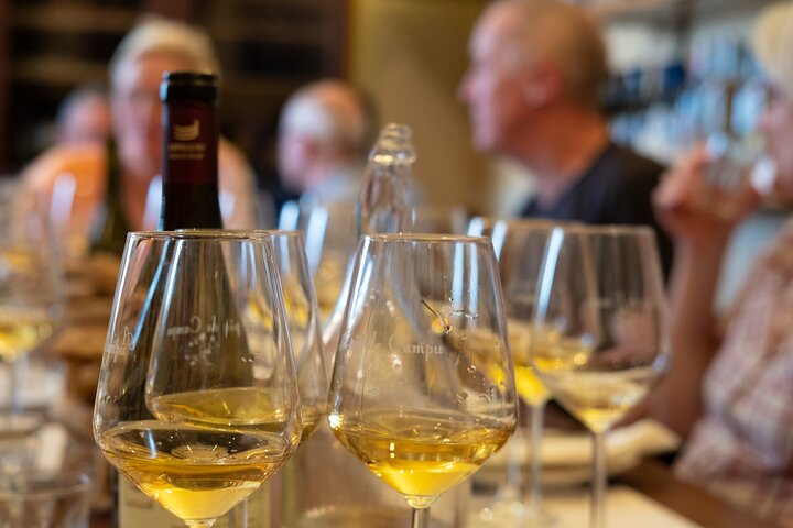Sensorial wine tasting in Manarola, Cinque terre