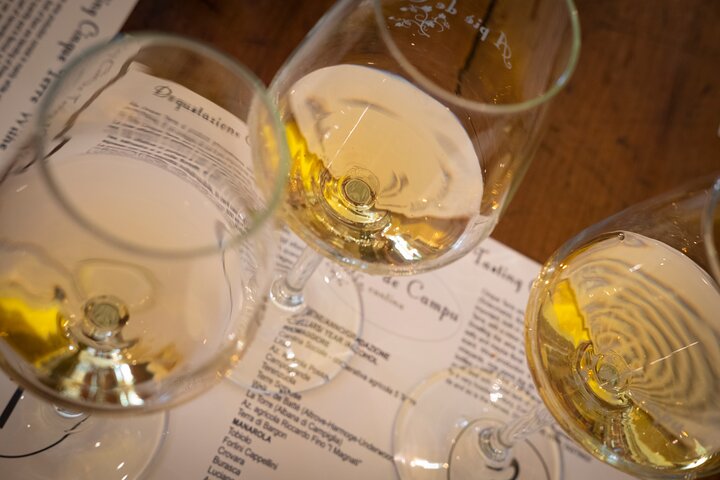 Sensorial wine tasting in Manarola, Cinque terre
