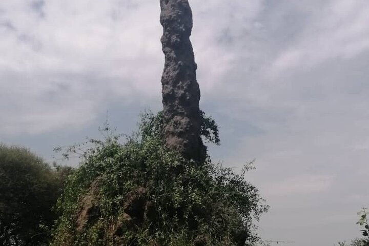 2 Days Selous Game Reserve from Zanzibar