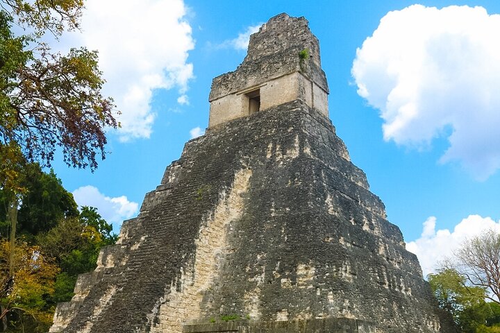 Private Tikal Mayan City Tour with Lunch