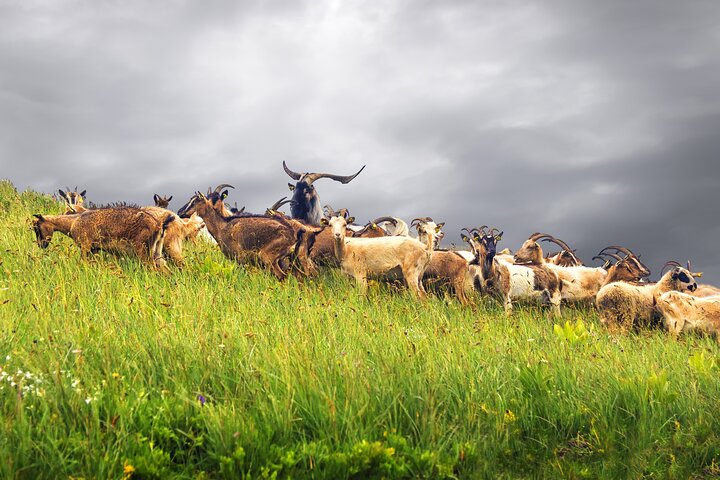 Durmitor National Park hiking tour - easy to moderate