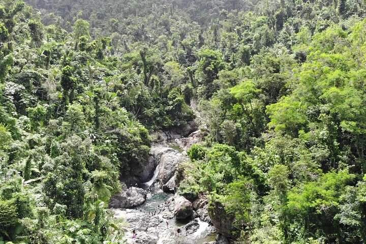 El Yunque National Forest and Luquillo Beach Tour