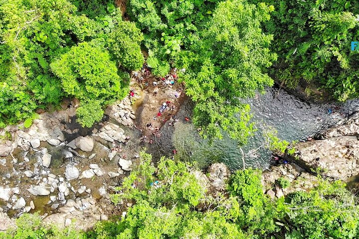 El Yunque National Forest and Luquillo Beach Tour
