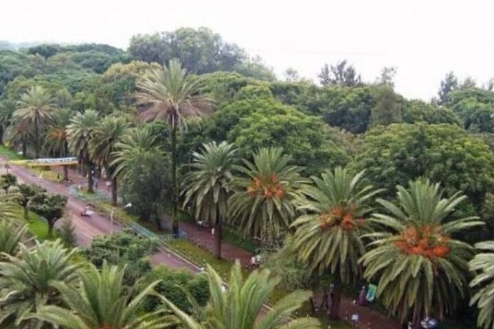 Private Guided Tours To Bahir Dar Lake Tana Monastery & Blue Nile Waterfalls