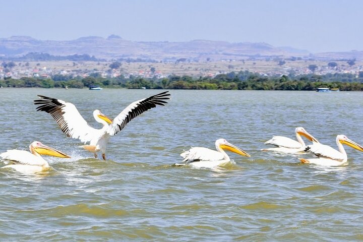 Private Guided Tours To Bahir Dar Lake Tana Monastery & Blue Nile Waterfalls